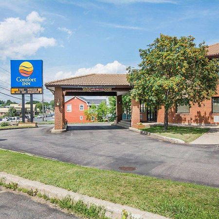 Comfort Inn Bathurst Ngoại thất bức ảnh
