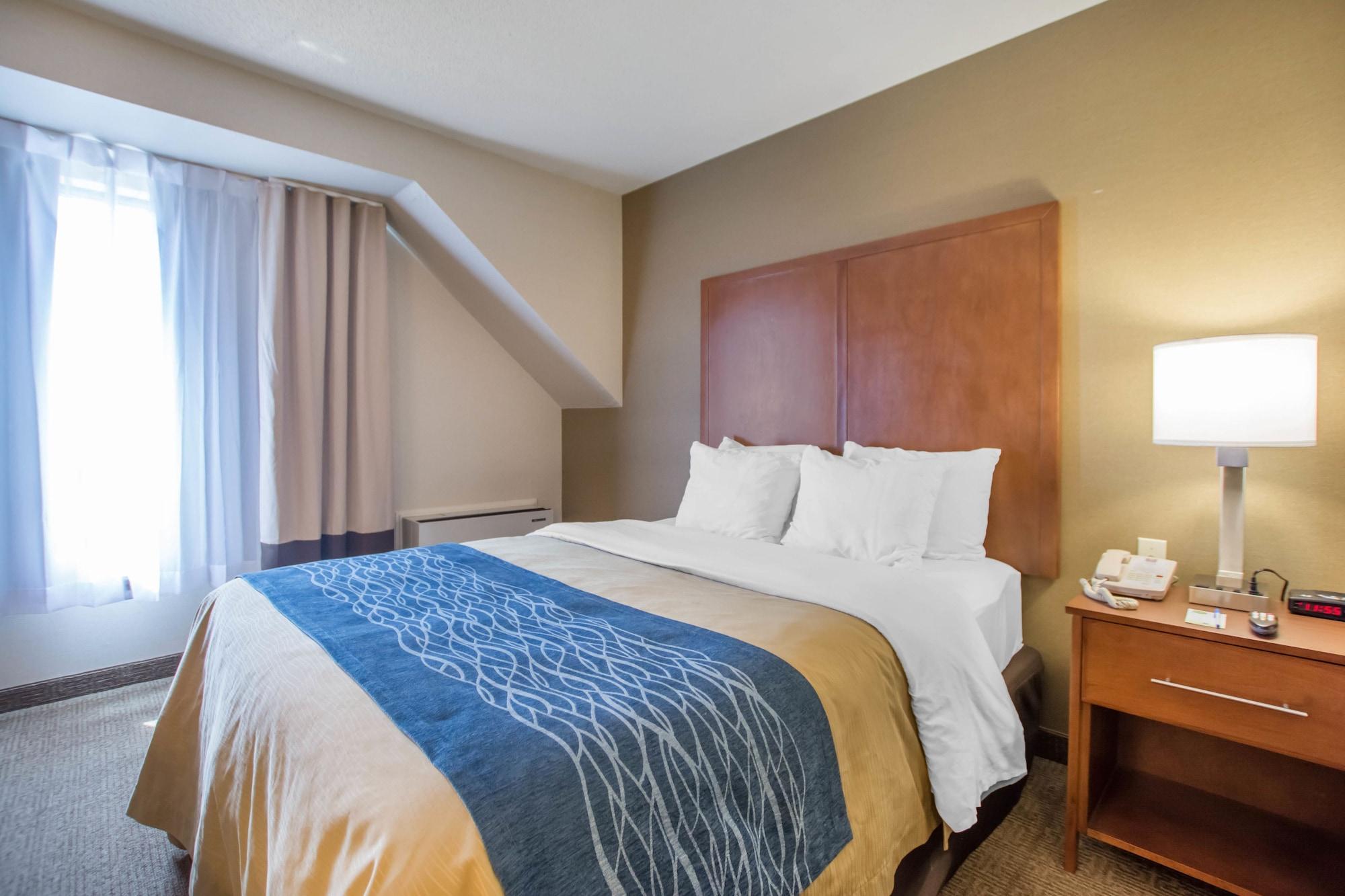 Comfort Inn Bathurst Ngoại thất bức ảnh